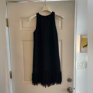 Banana Republic
Elegant Black Fringe Hem Dress
Excellent Condition